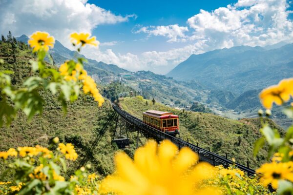 Tàu Hỏa Leo Núi Mường Hoa Sapa